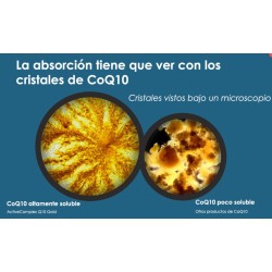 Pharma Nord ActiveComplex Q10 Gold 100mg