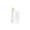 Vicorva Stick labial Aloe Vera