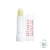 Vicorva Stick labial Rosa Mosqueta