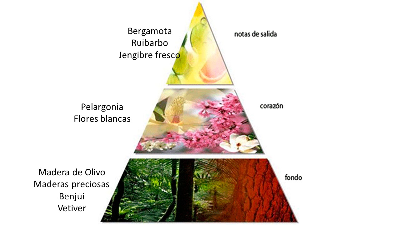 Pirámide Aceite de Oliva